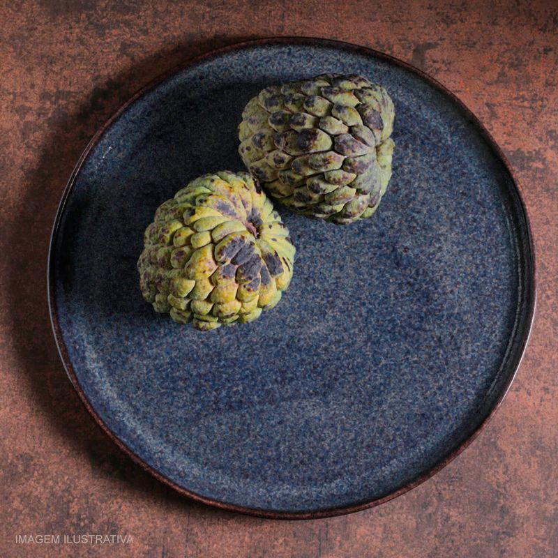 Prato_Raso_Bio_Titanium_Porto_Brasil_29_cm_1055023