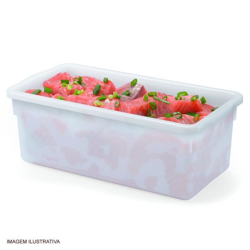 Caixa_Organizadora_Bioprtika_5_Litros_com_Tampa_Pleion_41681
