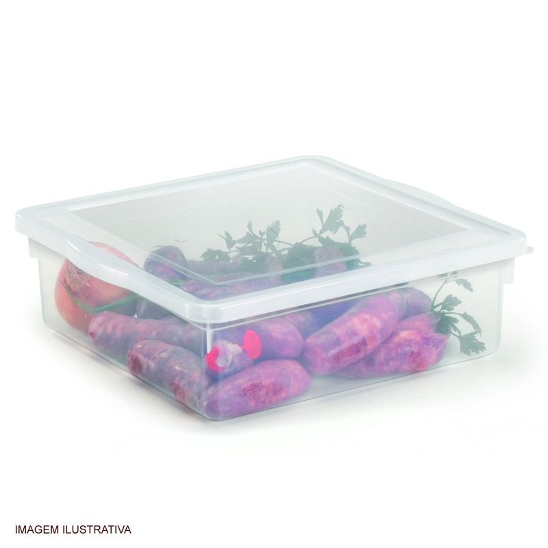 Caixa_Organizadora_Bioprtika_8_Litros_com_Tampa_Pleion_182771