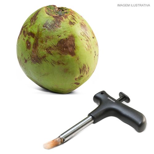 Furador de Coco Verona Brinox 12 cm